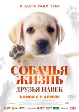 Собачья жизнь: Друзья навек онлайн